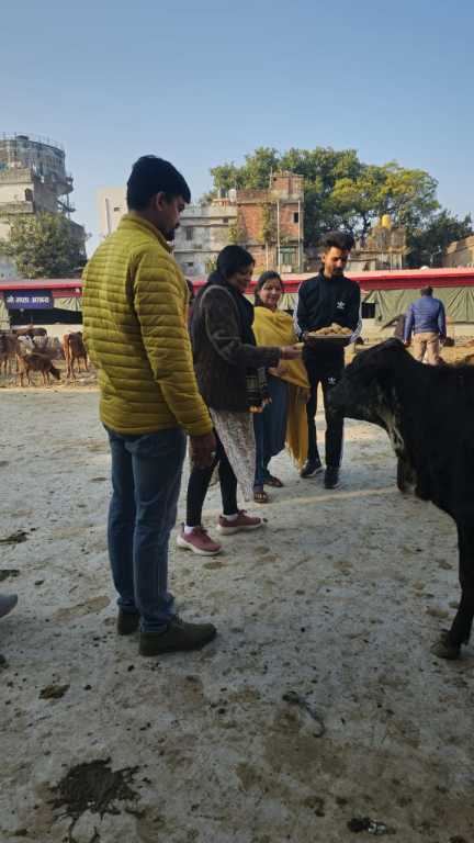 हल्द्वानी : नव नियुक्त मुख्य नगर आयुक्त ऋचा सिंह ने राजपुरा स्थित गौशाला का किया निरीक्षण,शहर के लोगो से की यह महत्वपूर्ण अपील…