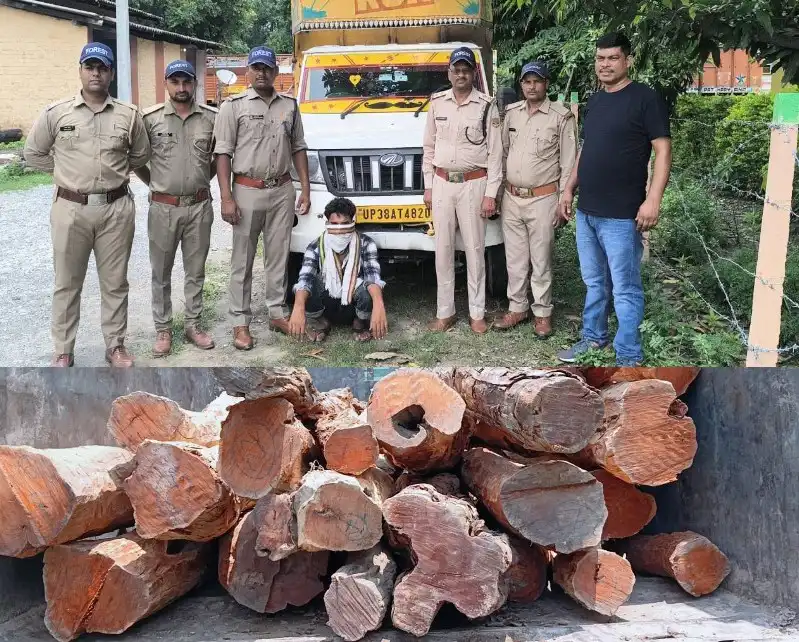हल्द्वानी:पुष्पा स्टाइल में बेशकीमती खैर की लकड़ी तस्करी,एक तस्कर गिरफ्तार, कुख्यात दो तस्कर फरार-VIDEO