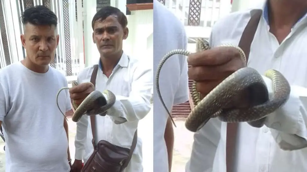 हल्द्वानी: घर में खड़ी स्कूटी में घुसा सांप, वन विभाग की टीम ने पकड़ा