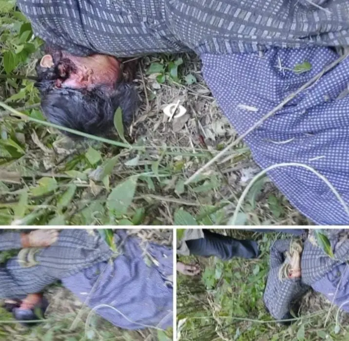 भीमताल:(बड़ी खबर)-पहाड़पानी के बाद ओखलकांडा में गुलदार का आतंक, महिला को बनाया निवाला